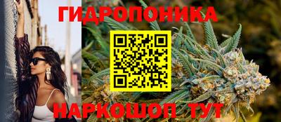 бошки Новозыбков